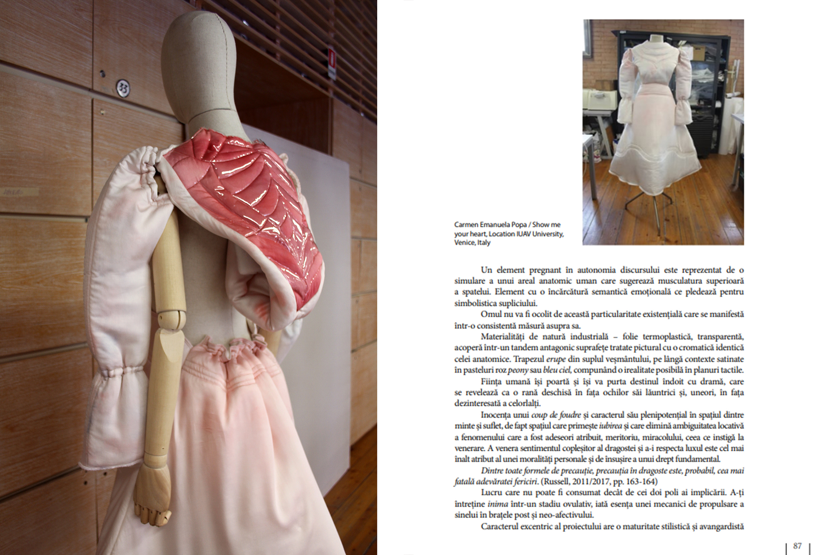 Revista de Artă și Istoria Artei / Post-Afectiv în Arta Contemporană